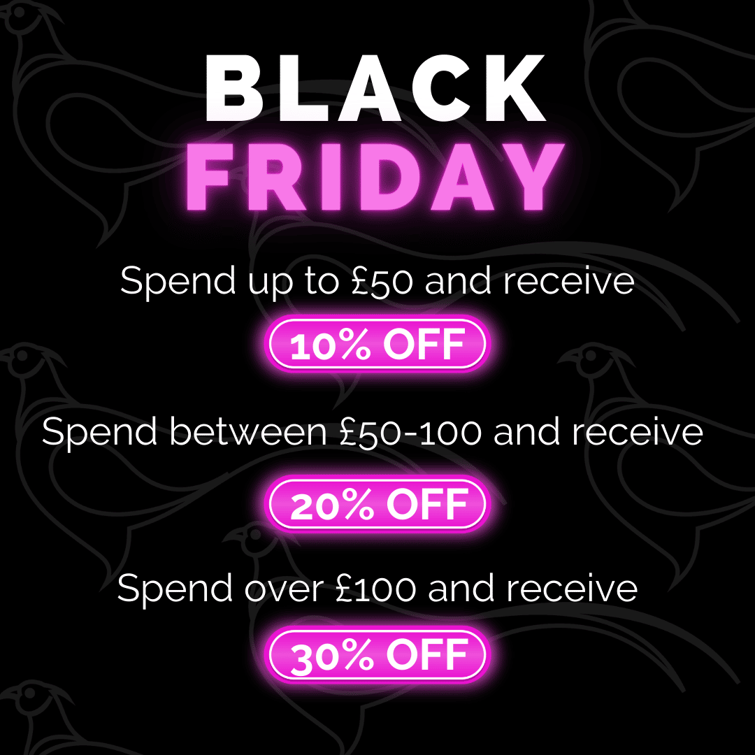 OUT & ABOUT BLACK FRIDAY WEEKEND SALE!