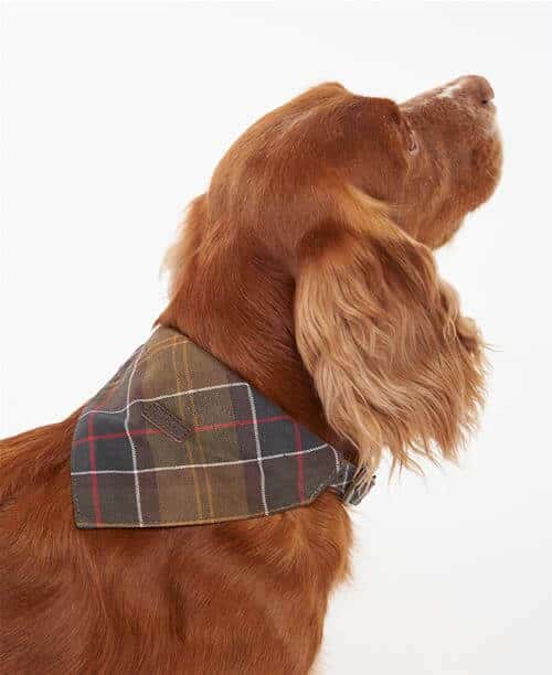 Barbour waterproof pack online away dog coat