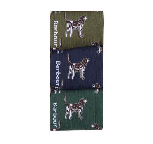 Pointer Dog Socks Gift Box (MIXED)
