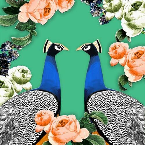 Card Peacocks & Roses