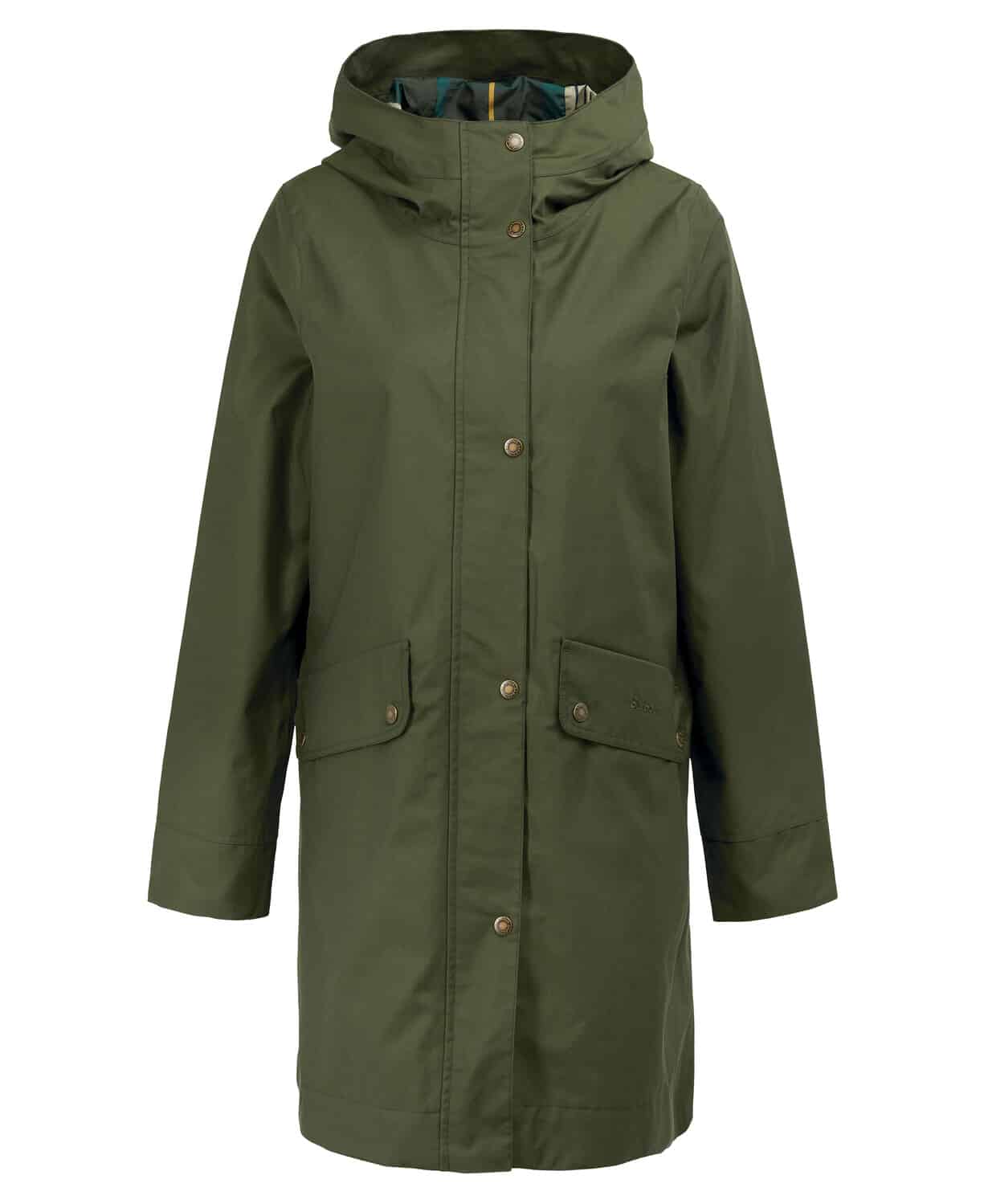 Coat Honeysuckle – Olive