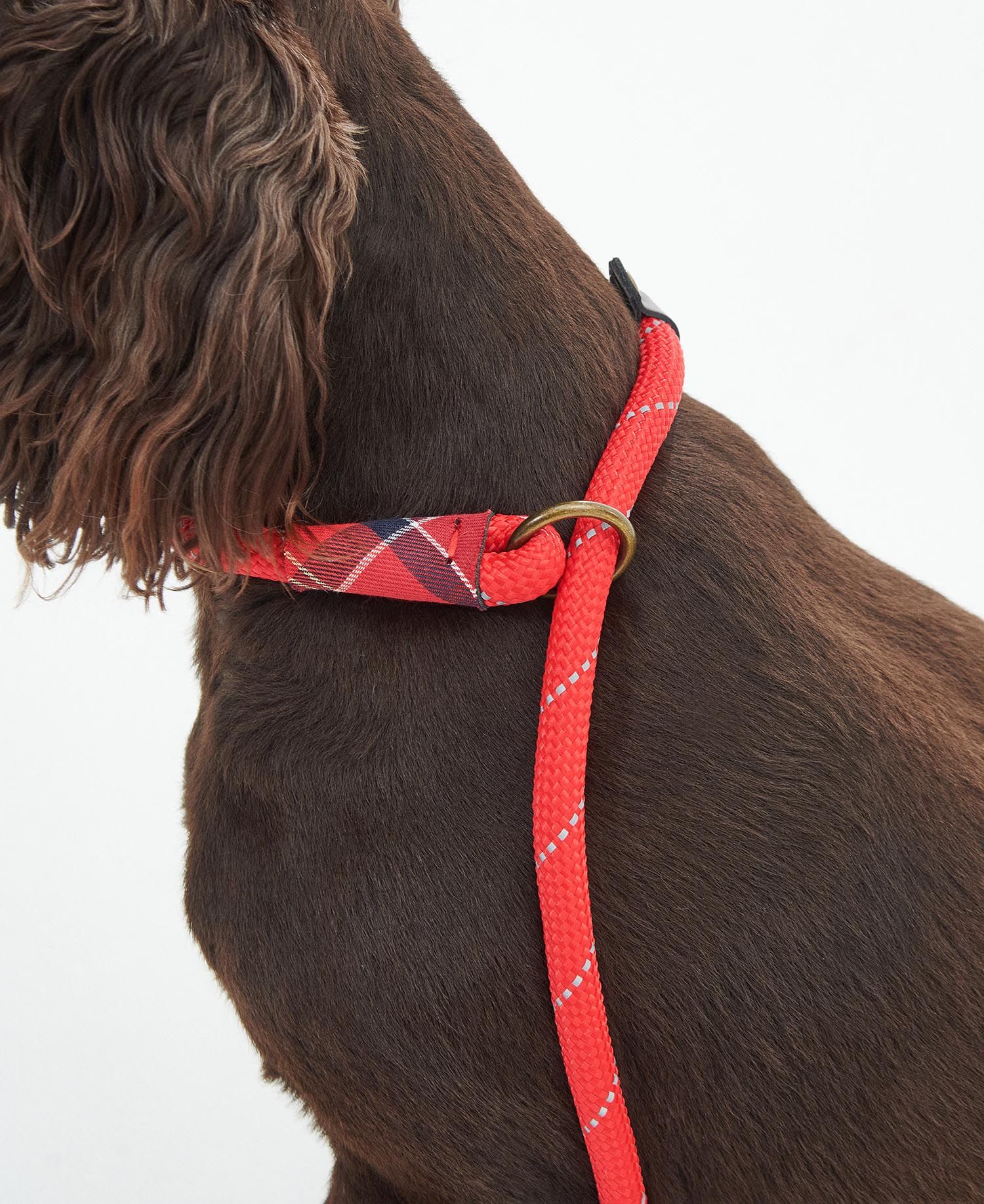 Barbour Reflective Slip Dog Lead – Classic Red