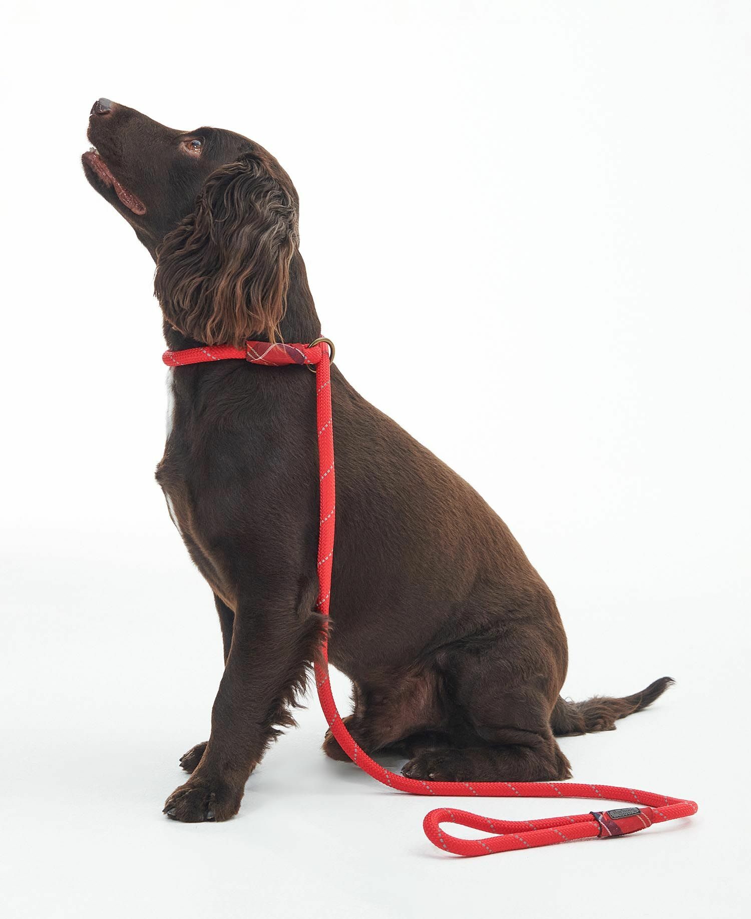 Barbour Reflective Slip Dog Lead – Classic Red