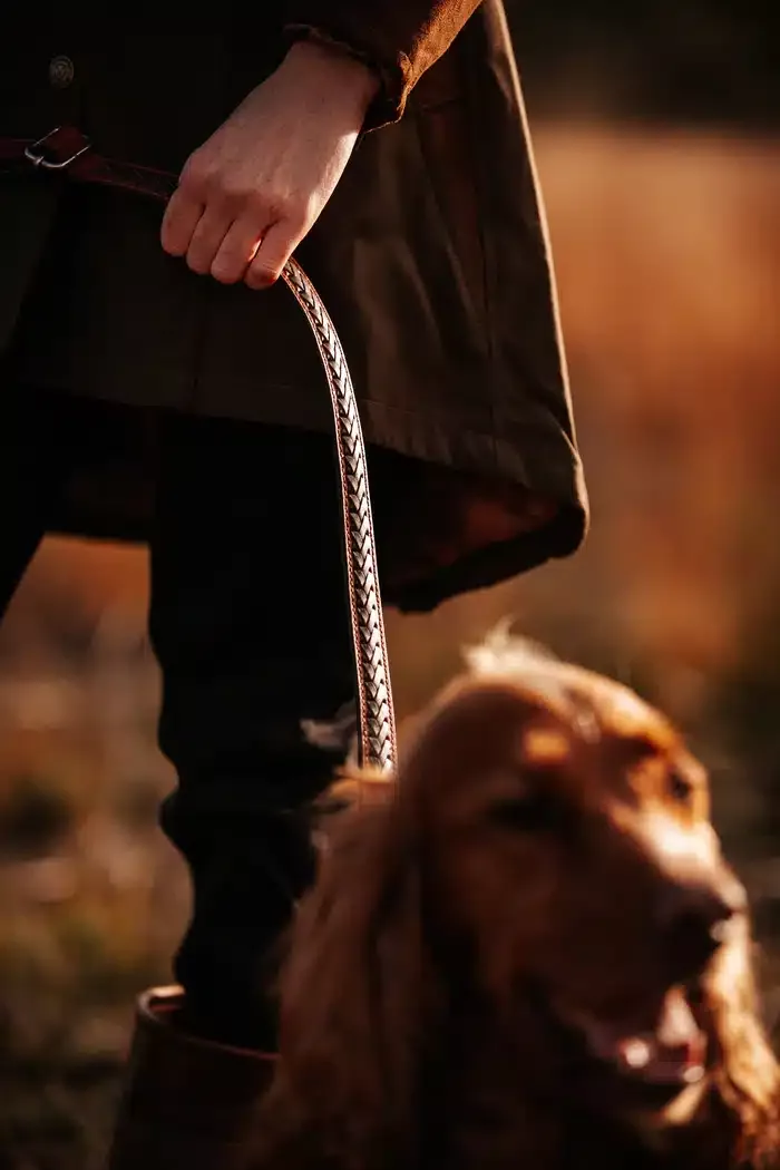 Extendable Leather Dog Lead – Mahogany/Tan