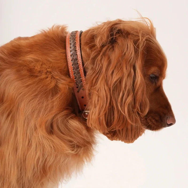 Leather Dog Collar – Mahogany/Tan Size M
