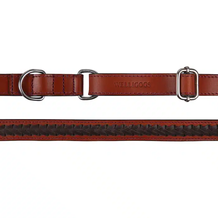 Extendable Leather Dog Lead – Mahogany/Tan