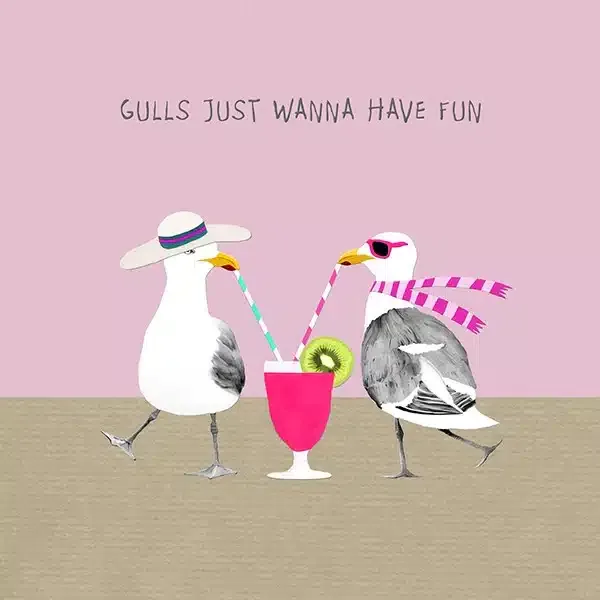 GULLS JUST WANNA HAVE FUN