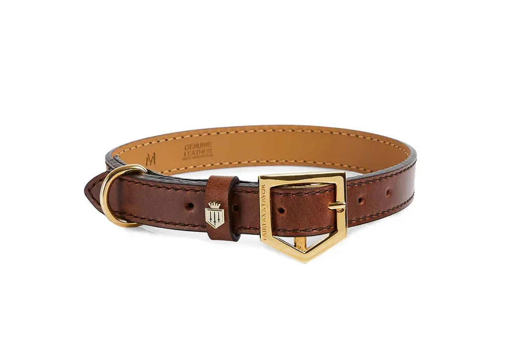 Fitzroy Leather Dog Collar – Tan