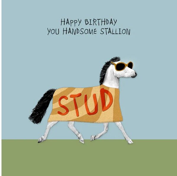 Handsome Stallion Card