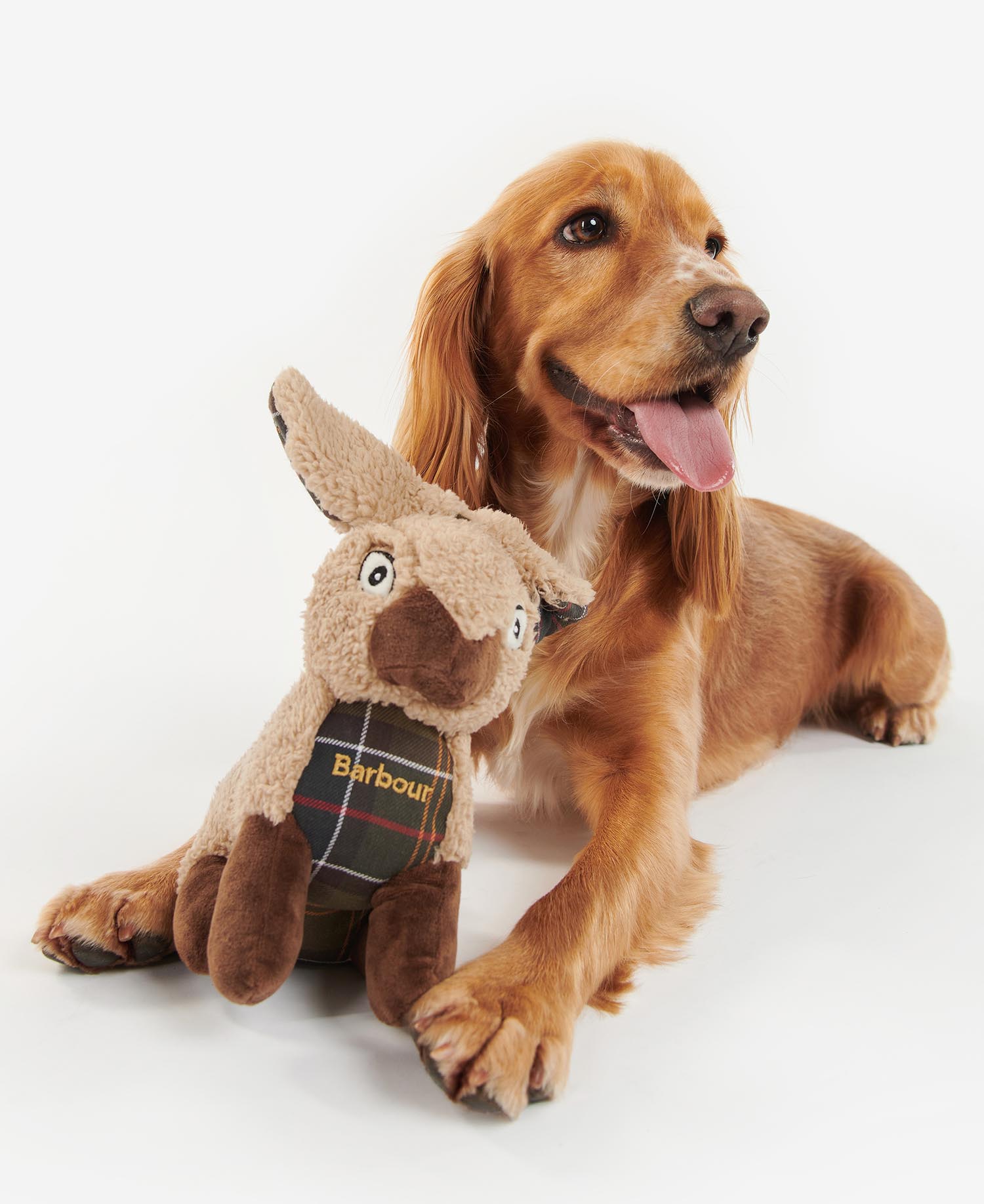 Rabbit Squeaky Dog Toy